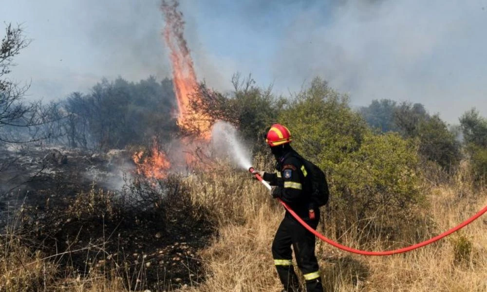 Κομοτηνή: Συνεχίζεται για 5η μέρα η πυρκαγιά στο Παπίκιο όρος – Σε απόκρημνα σημεία οι εστίες